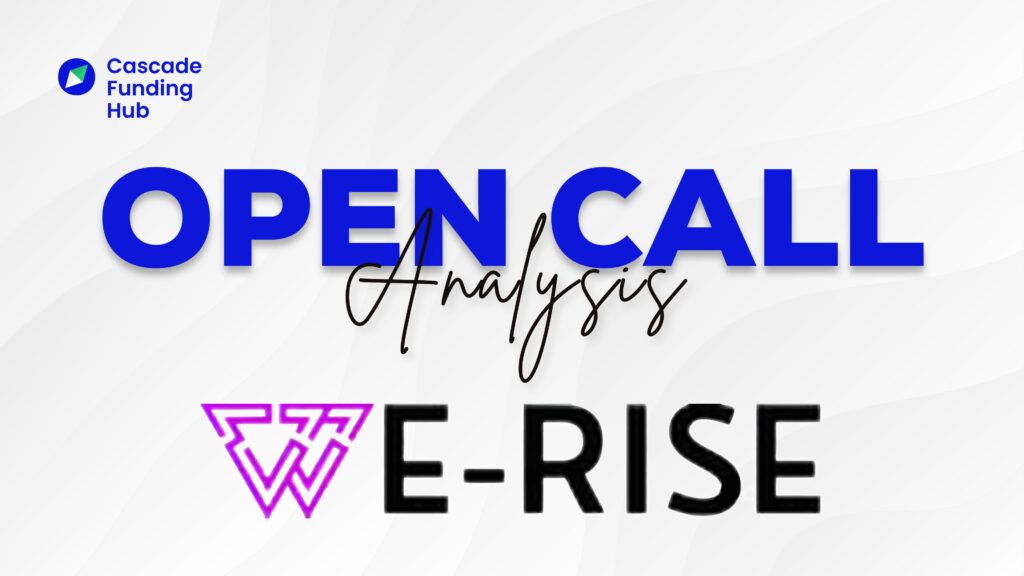 We-rise Open Call Analyse